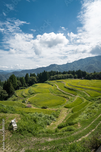 兵庫県 うへ山の棚田と原風景 Stock Photo Adobe Stock 兵庫県 うへ山の棚田と原風景 Stock Photo Adobe Stock