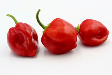 Scotch Bonnets