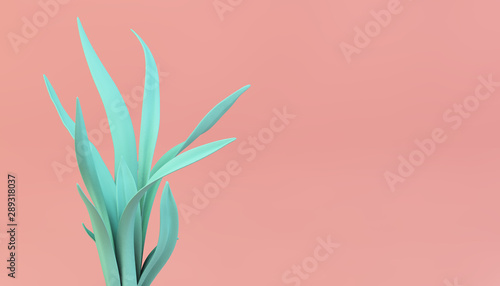 Fotomural vivid color plant on pink background