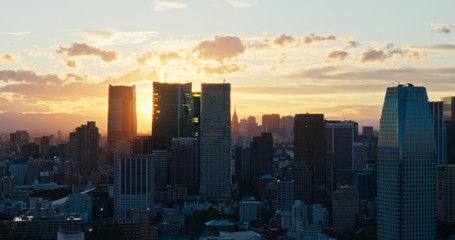 Sticker - Tokyo city at sunset