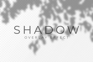 shadow overlay effect. transparent soft light and shadows from plant branches, leaves and foliage. m
