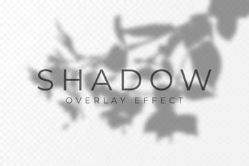 Leinwandbilder - Shadow overlay effect. Transparent soft light and shadows from plant branches, leaves and foliage. Mockup of transparent shadow overlay effect and natural lightning