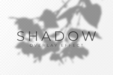 Leinwandbilder - Shadow overlay effect. Transparent soft light and shadows from plant branches, leaves and foliage. Mockup of transparent shadow overlay effect and natural lightning