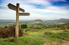 Sign Post On A Moor