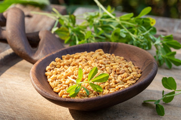 Wall Mural - Fenugreek seeds on a wooden spoon on a table