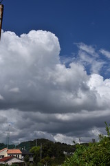 Poster - The blue sky and white clouds in September.