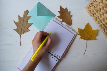 Wall Mural - Woman writing in the notebook. Autumn leaves on the desktop.