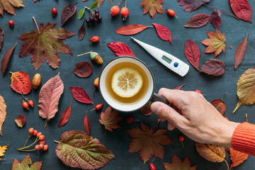 Wall Mural - Flu season, cold concept. Top view on male hand holding a cup of hot tea with lemon, autumn coloured leaves, ripe rosehip, hawthorn and rowan berries, digital thermometer, grunge navy blue background.