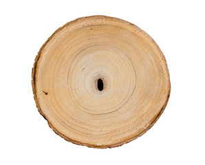 Wall Mural - wood slice cut from a tree. textured surface with rings and cracks. neutral brown background made of