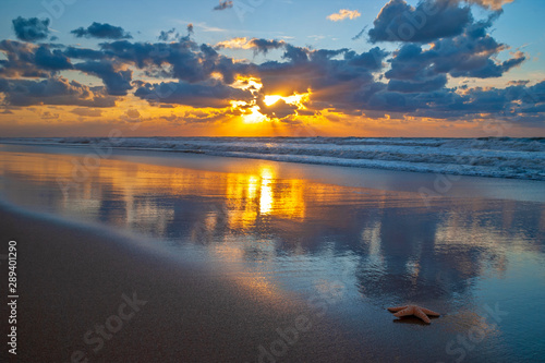 Cuadros en Lienzo Sunset along the North Sea beach of Oostende (Ostend) with a starfish, Belgium