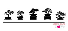 Set Of Bonsai, Black Silhouette Of Bonsai. Detailed Image. Vector Illustration. Decorative Arts. Mini Tree In Pot. Dwarf Tree Decoration Art.  