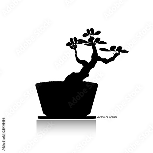 Download Vector Bonsai Tree Art Photos