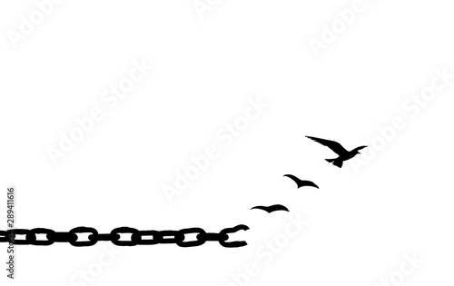 Fotomural Freedom concept: Silhouette of bird flying and broken chains isolated on white b