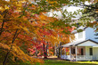 Karuizawa autumn scenery view, one of best-known resort villages in Japan. colorful tree with red, orange, yellow, green, golden colors around the country house in sunny day, Nagano Prefecture, Japan