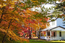 Karuizawa Autumn Scenery View, One Of Best-known Resort Villages In Japan. Colorful Tree With Red, Orange, Yellow, Green, Golden Colors Around The Country House In Sunny Day, Nagano Prefecture, Japan