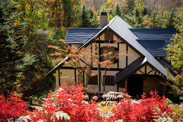Wall Mural - Karuizawa autumn scenery view, one of best-known resort villages in Japan. colorful tree with red, orange, yellow, green, golden colors around the country house in sunny day, Nagano Prefecture, Japan