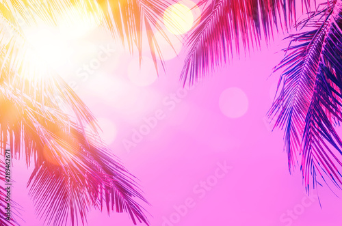 Copy space pink tropical palm tree on sky abstract background. Summer vacatio...