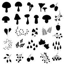 Set Of Autumn Forest Symbols Silhouettes. Mushrooms, Leaves And Berries