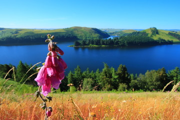 Canvas Print - Llyn Clywedog dam lake in Wales