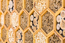 Geometric Patterns Bee Hotel Habitats With Hollow Tubes