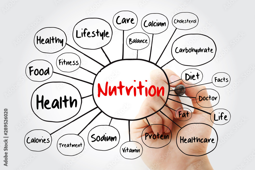 Nutrition mind map flowchart with marker, health concept for ...