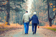 © AnastazjaSoroka - Senior couple walking in an autumn park.