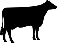 Brown Swiss Cow Vector Silhouette