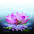 Abstract background with lotus, sunset, lotus flower on water. Beautiful water flower. 3D effect. Vector illustration.