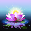 Abstract background with lotus, sunset, lotus flower on water. Beautiful water flower. 3D effect. Vector illustration.