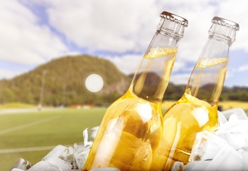 Sticker - Bottles of cold and fresh beer with ice isolated