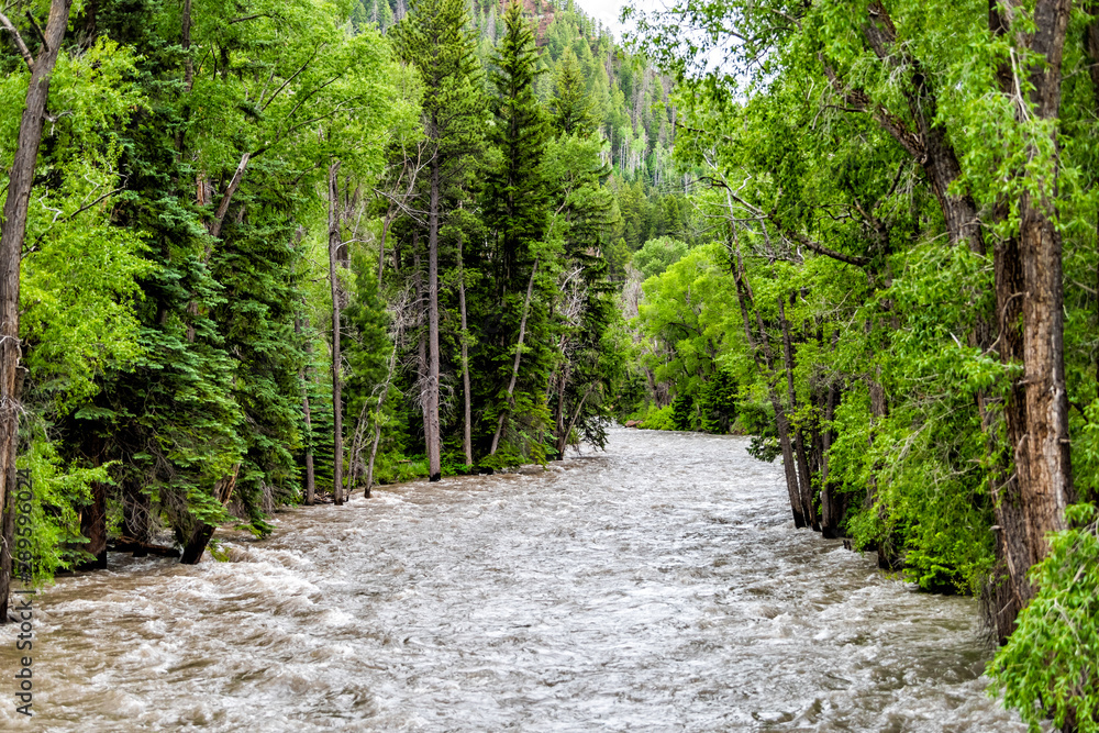 Water view from highway road 133 in Redstone, Colorado during summer with Crystal river by trees