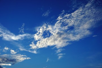 Wall Mural - flying cloud pattern with wispy white trails across deep blue sky
