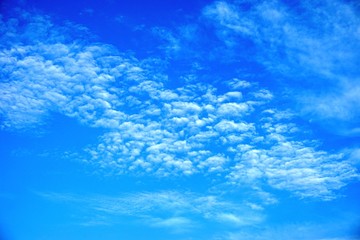 Wall Mural - fluffy white cotton ball clouds against brilliant royal blue sky