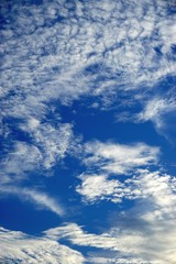 Wall Mural - striking vertical cloudscape with broken fluffy clouds and windblown swirls of white against deep bl