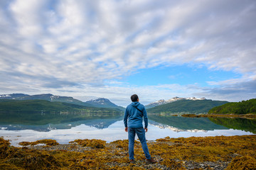 Sticker - One man stands to see the great nature in the north norway