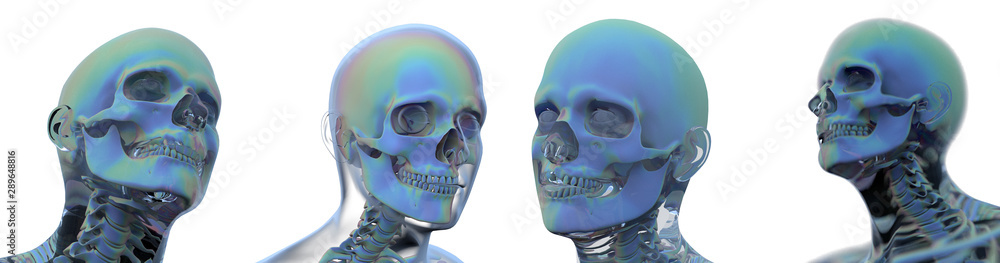 Dynamic Skull 3d rendering illustration of skull anatomy Stock Illustration | Adobe Stock