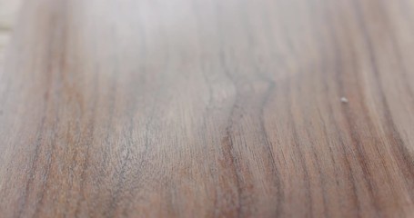 Poster - Slow motion woodworker applying oil finish to black walnut board