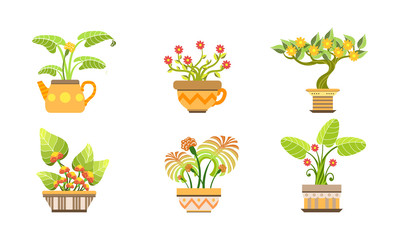 Poster - Blooming Potted Plants Set, Home or Office Decorative Plants and Flowers in Pots Vector Illustration