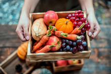 Fall Harvest Cornucopia. Autumn Season With Fruit And Vegetable. Thanksgiving Day Concept.