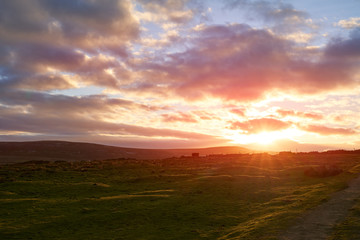 Wall Mural - a distant bull silhouetted against a bright red sky as the sun sets over bolts law.
