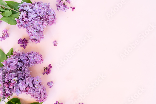 Fresh lilac flowers