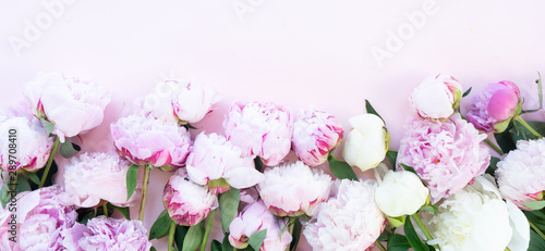 Fresh peony flowers