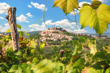 Fototapeta Tęcza - Scenic view to the town of Motovun, Istria, Croatia