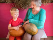 © galitsin - elderly woman granny in turquoise sweater with grandson sits with large pumpkin on her lap against background of dry daisy flowers in barn