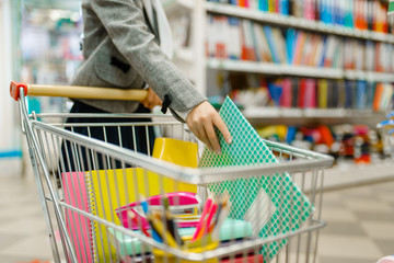 Wall Mural - Schoolgirl puts a notebook in the cart, stationery