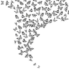 A Lot Of Flying Butterflies. Abstract Butterflies Pattern. Vector Illustration