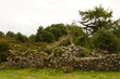 © Michael - Rural Stone and Wood Farm Fence and Gate