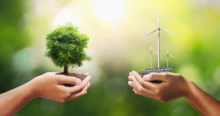 hand holding tree with turbine and solar panel. concept eco energy and clean power