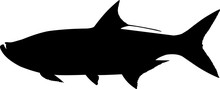 Tarpon Fish Silhouette Vector