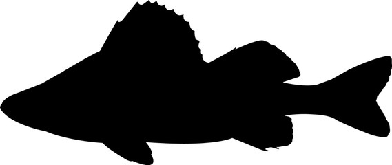 Wall Mural - Yellow Perch Fish Silhouette Vector